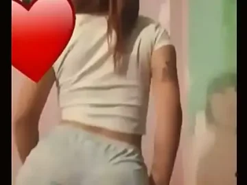 perrita argenta 1733550378